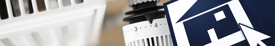 Banner - Horst Silcher