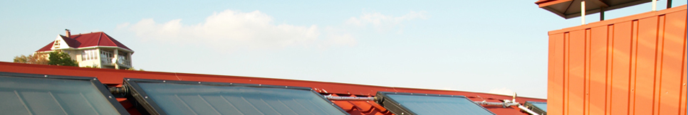 Banner - Horst Silcher